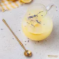 Dzbanek szklany 600 ml z zaparzaczem WL