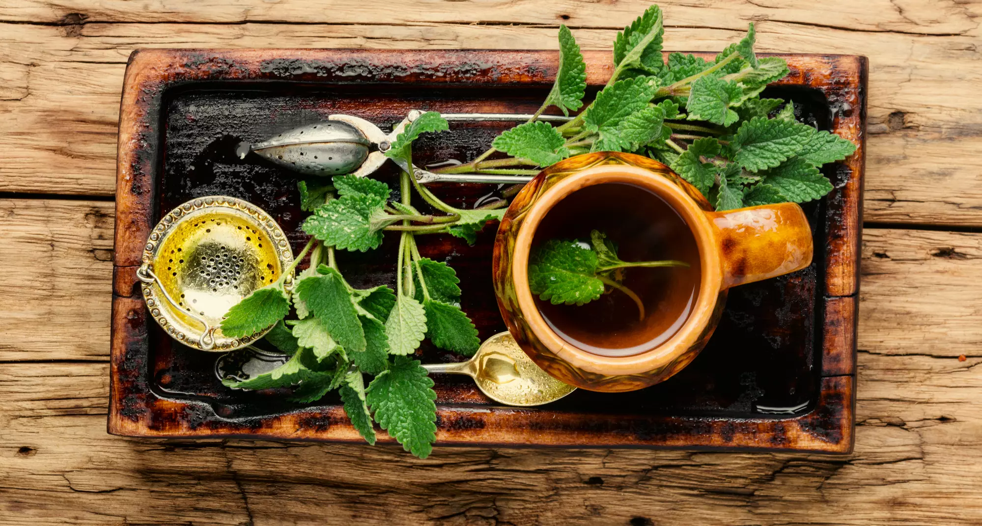 Herbata melisa na sen